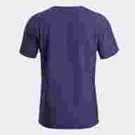 CAMISETA MANGA CORTA INDOOR GYM     - CAMISETA MANGA CORTA INDOOR GYM    