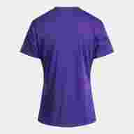Футболка JOMA CAMISETA MANGA CORTA CHAMPIONSHIP VIII VIOLETA - Футболка JOMA CAMISETA MANGA CORTA CHAMPIONSHIP VIII VIOLETA