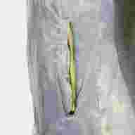 CHUBASQUERO EXPLORER V   - CHUBASQUERO EXPLORER V  