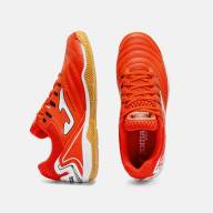 Ассортимент | MAXIMA 2606   INDOOR - Ассортимент | MAXIMA 2606   INDOOR