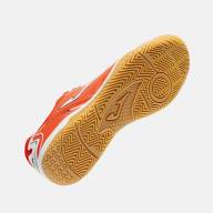 Ассортимент | MAXIMA 2606   INDOOR - Ассортимент | MAXIMA 2606   INDOOR