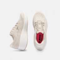 Ассортимент | DIANA LADY 2625 BEIGE - Ассортимент | DIANA LADY 2625 BEIGE