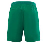 Шорты KELME Woven Shorts Green - Шорты KELME Woven Shorts Green