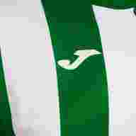 Футболка игровая JOMA INTER CLASSIC VERDE BLANCO - Футболка игровая JOMA INTER CLASSIC VERDE BLANCO