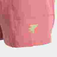 BERMUDA EXPLORER V   - BERMUDA EXPLORER V  