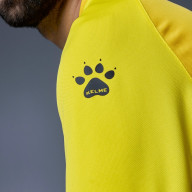 Вратарская форма KELME Long Sleeve Goalkeeper Suit Yellow - Вратарская форма KELME Long Sleeve Goalkeeper Suit Yellow