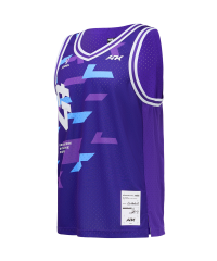 Майка баскетбольная AK D.D.D Jersey, фиолетовый