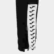 CHÁNDAL HEROIC   - CHÁNDAL HEROIC  