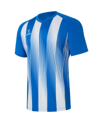 Футболка игровая JOGEL CAMP Striped Jersey, синий/белый, детский