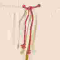 SHORT MIMETIC BEIGE - SHORT MIMETIC BEIGE