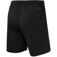 Шорты вратарские JOGELPerFormDRY National 26 GK Shorts, черный - Шорты вратарские JOGELPerFormDRY National 26 GK Shorts, черный