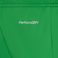 Шорты вратарские JOGEL PerFormDRY National 26 GK Shorts, зеленый - Шорты вратарские JOGEL PerFormDRY National 26 GK Shorts, зеленый