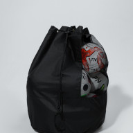Сумка для мячей FN Middle Size Ball Bag Shoulders (15 Pcs Ball) Черный - Сумка для мячей FN Middle Size Ball Bag Shoulders (15 Pcs Ball) Черный