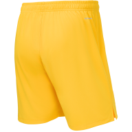 Шорты вратарские JOGELPerFormDRY National 26 GK Shorts, желтый - Шорты вратарские JOGELPerFormDRY National 26 GK Shorts, желтый