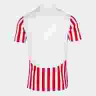 Футболка игровая JOMA с коротким рукавом PERFORMANCE MULTISPORT Белый-красный - Футболка игровая JOMA с коротким рукавом PERFORMANCE MULTISPORT Белый-красный