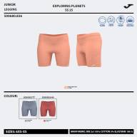 MALLAS CORTAS BERRY   - MALLAS CORTAS BERRY  