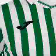 Футболка игровая JOMA с коротким рукавом PERFORMANCE MULTISPORT Белый-зеленый - Футболка игровая JOMA с коротким рукавом PERFORMANCE MULTISPORT Белый-зеленый