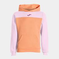 SUDADERA CON CAPUCHA PARK     - SUDADERA CON CAPUCHA PARK    