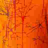 CAMISETA TIRANTES ELITE IX   - CAMISETA TIRANTES ELITE IX  