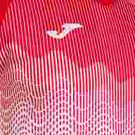 CAMISETA MANGA CORTA TIGER VI BLANCO ROJO - CAMISETA MANGA CORTA TIGER VI BLANCO ROJO