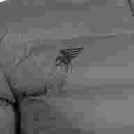 ANORAK EXPLORER   - ANORAK EXPLORER  