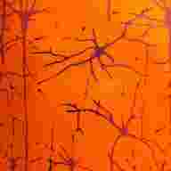 CAMISETA TIRANTES ELITE IX   - CAMISETA TIRANTES ELITE IX  